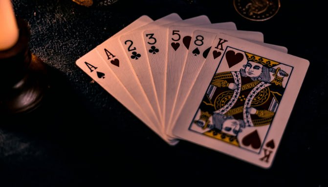 vvk8